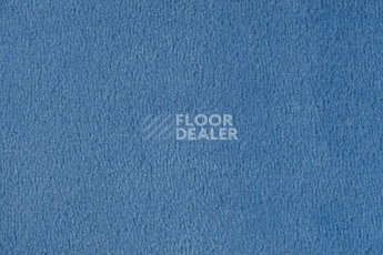 Ковролин Vorwerk Passion 1000/Modena Vorwerk 3h93 фото 1 | FLOORDEALER